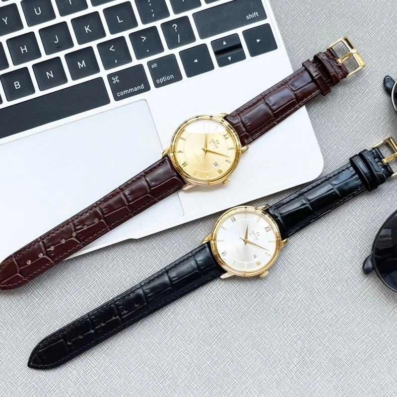 OMEGA Watches Vibrant 193810