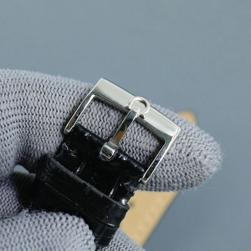 EyeCatching OMEGA Watches 193788