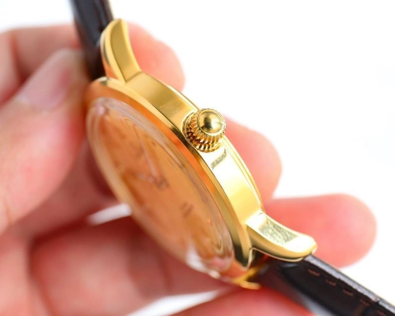 OMEGA Watches ZeroBulk 193781