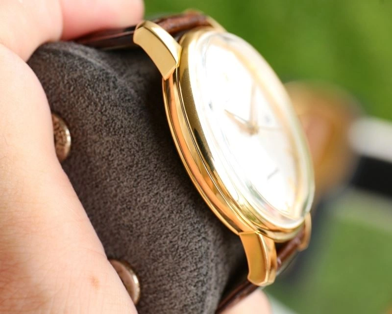SunProtective OMEGA Watches 193774