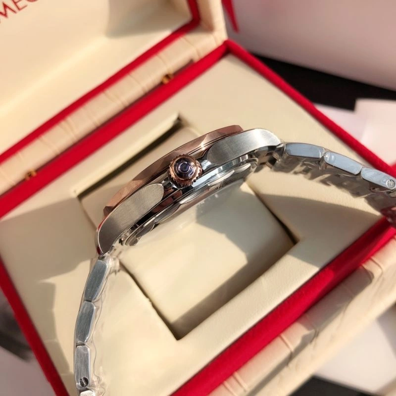OMEGA Watches SmartChoice 193735
