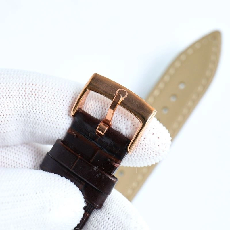 GoAnywhere OMEGA Watches 193689