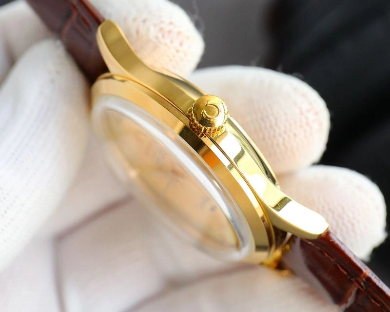 WeatherProof OMEGA Watches 193645