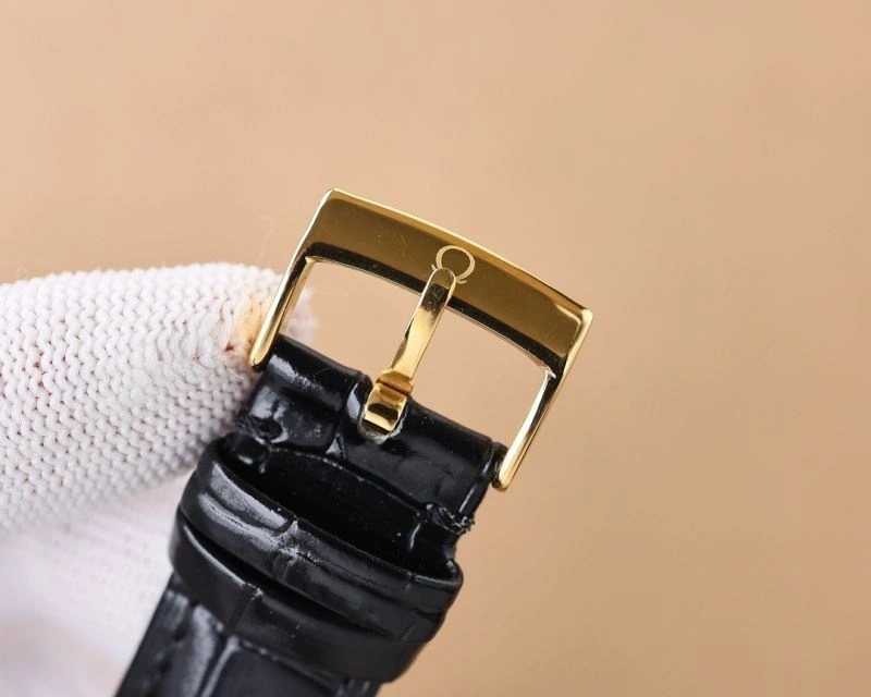 Timeless OMEGA Watches 193630