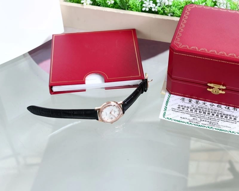 OMEGA Watches ModernLook 193619