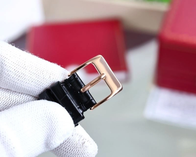 OMEGA Watches ModernLook 193619
