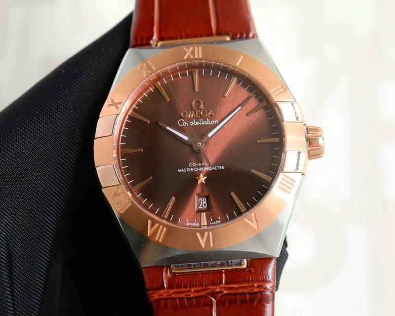 OMEGA Watches Chic 193592