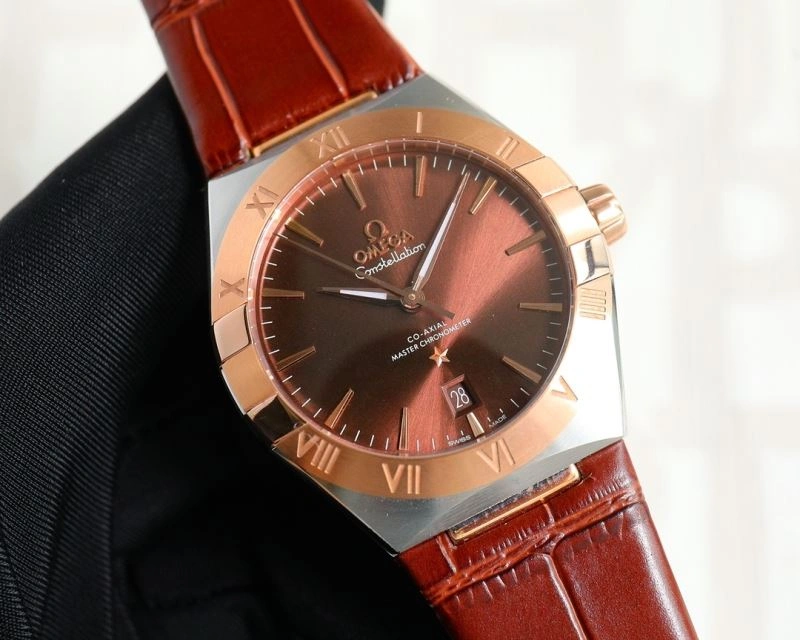OMEGA Watches Chic 193592