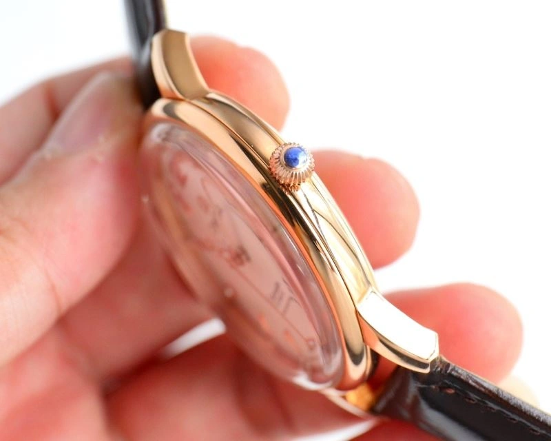Resilient OMEGA Watches 193580