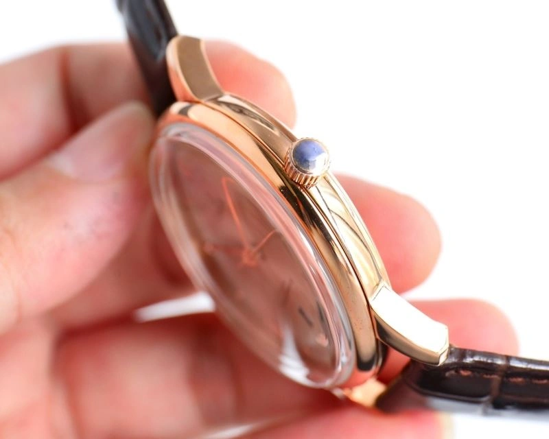 OMEGA Watches Unique 193543