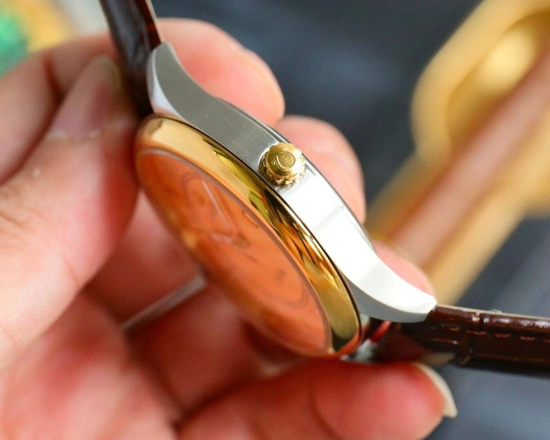 OMEGA Watches Vibrant 193406