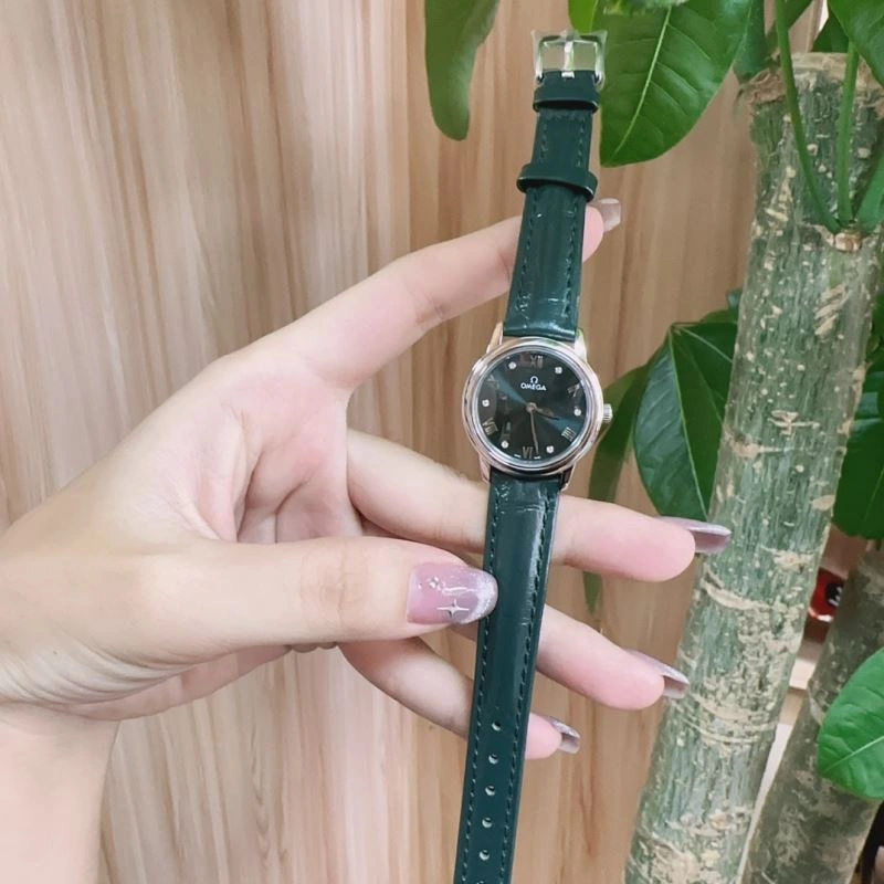 Classic OMEGA Watches 193365