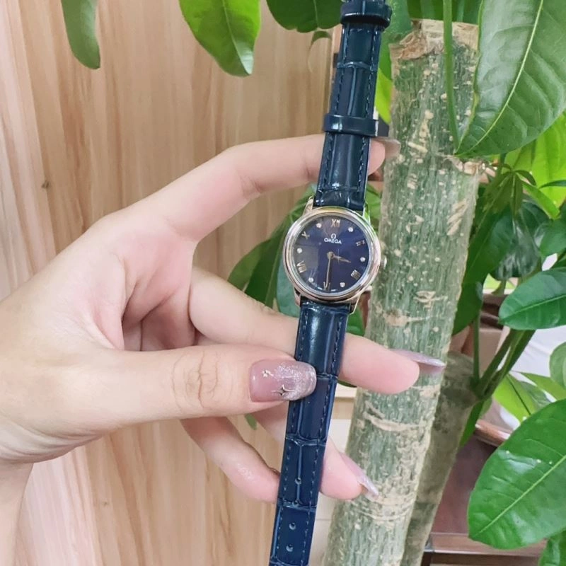 Classic OMEGA Watches 193365