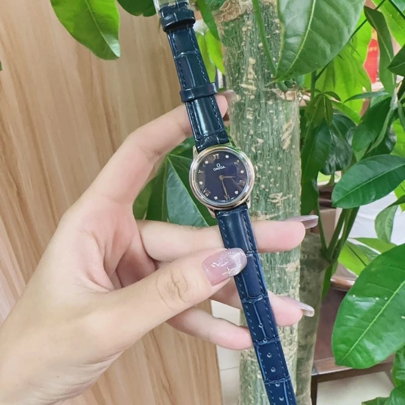 Classic OMEGA Watches 193365