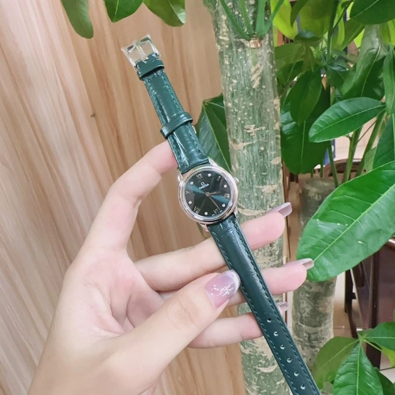 Classic OMEGA Watches 193365