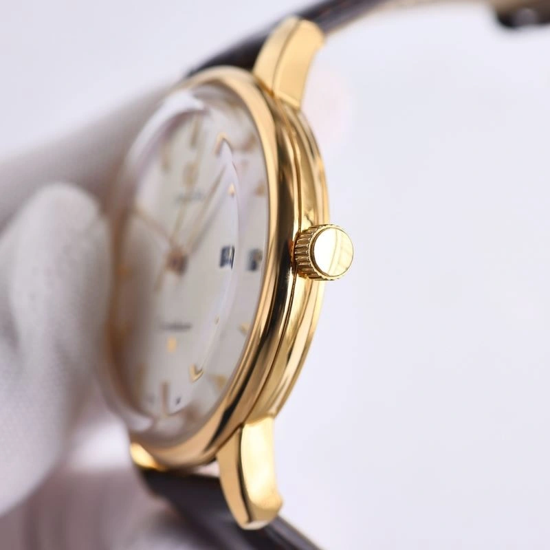 Versatile OMEGA Watches 193314