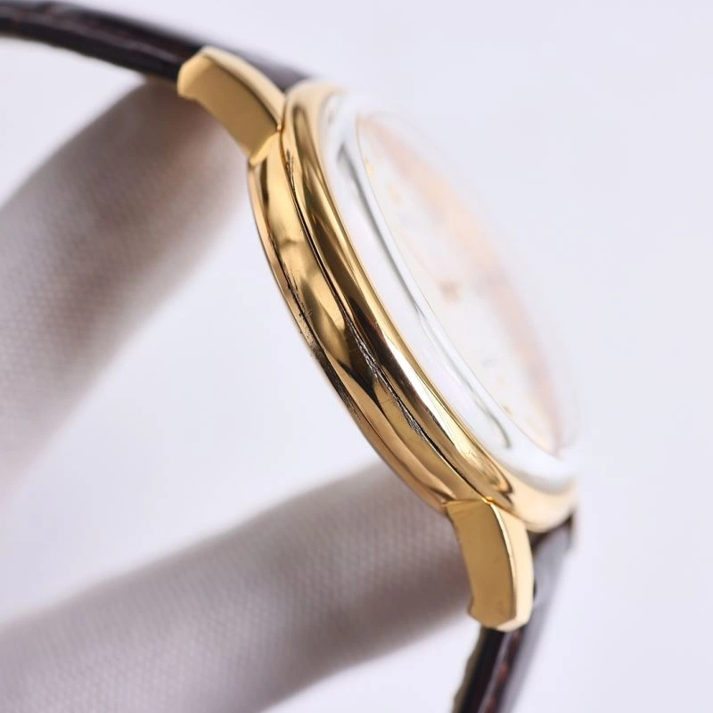 Versatile OMEGA Watches 193314