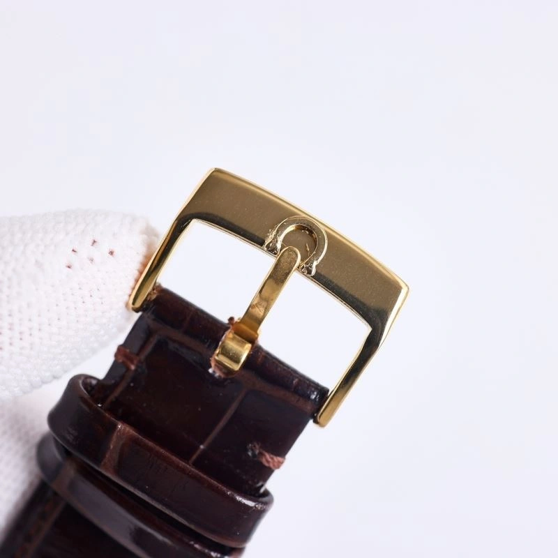 Versatile OMEGA Watches 193314