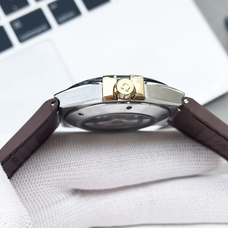 Sleek OMEGA Watches 193277