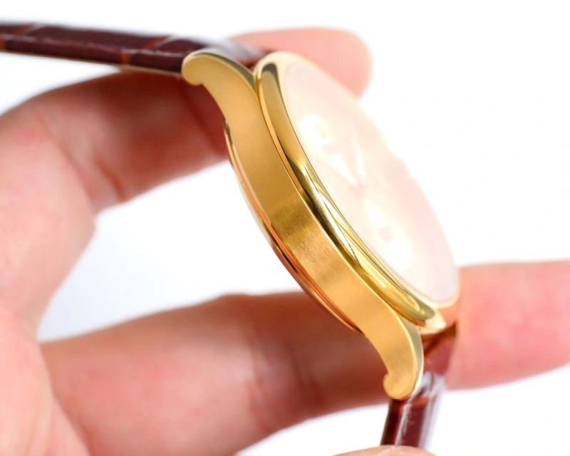 Sleek OMEGA Watches 193219