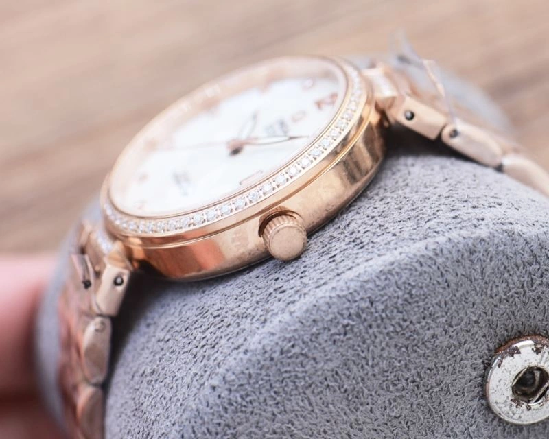 GoAnywhere OMEGA Watches 193195