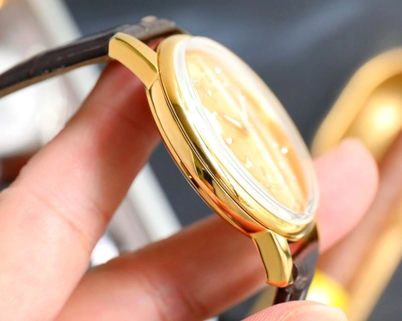 Timeless OMEGA Watches 193190