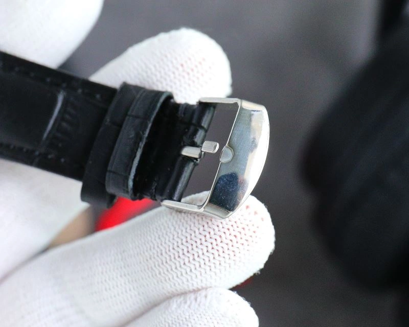 OMEGA Watches Flexible 193158