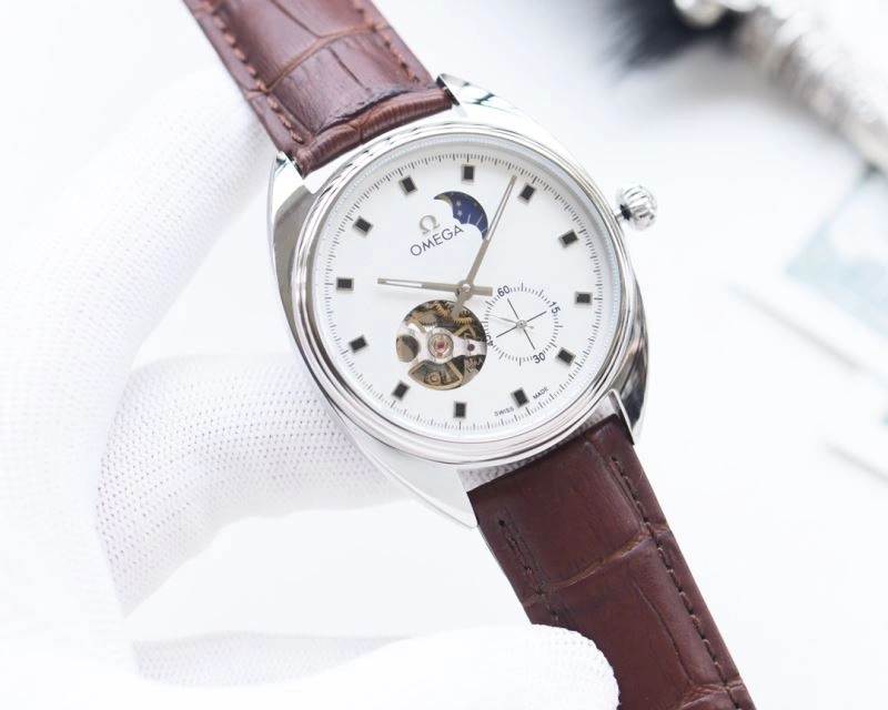 Minimalist OMEGA Watches 193137