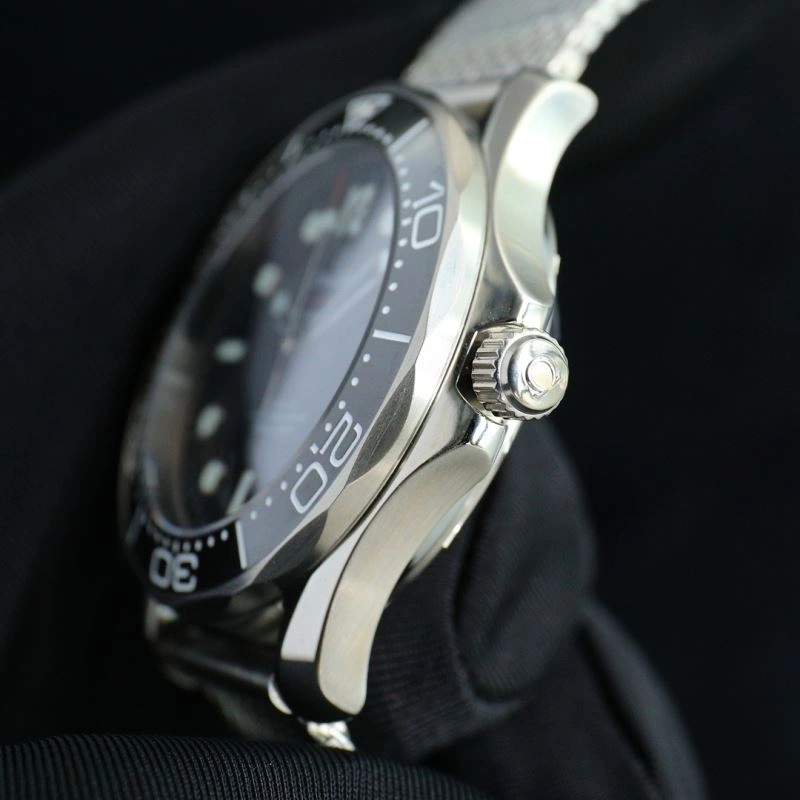 OMEGA Watches Seasonal 193117