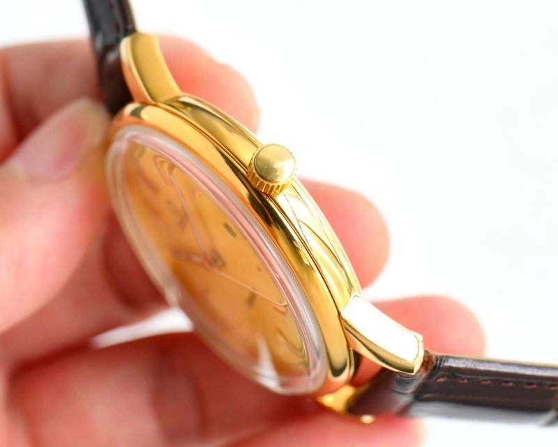 OMEGA Watches Effortless 193101