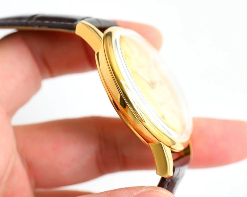 OMEGA Watches Effortless 193101