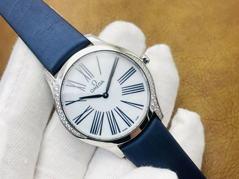 OMEGA Watches GoAnywhere 193092