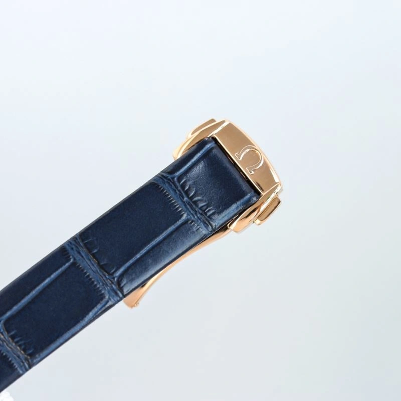 OMEGA Watches Flexible 193064