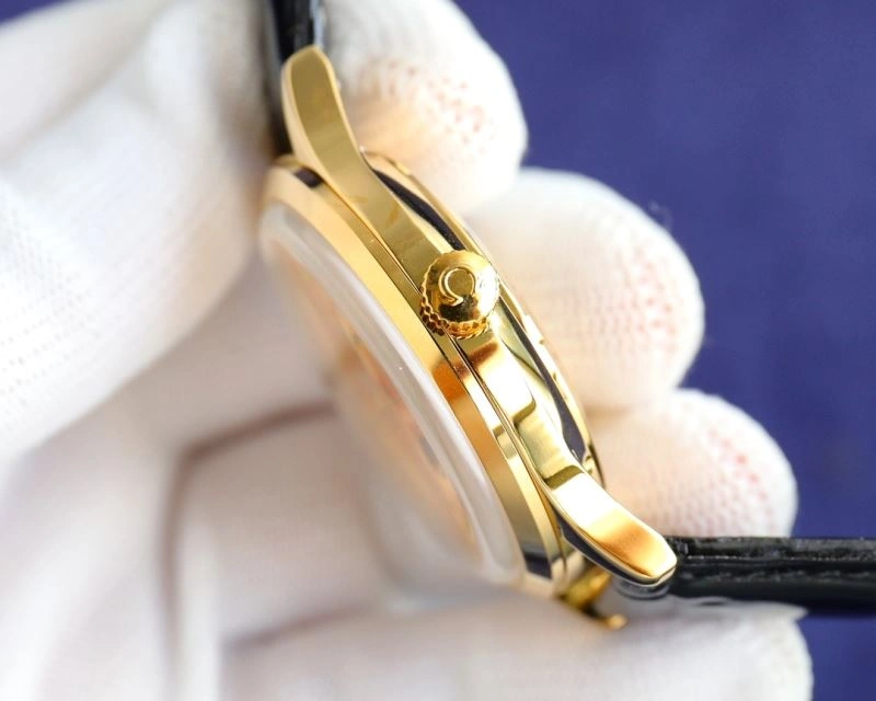 OMEGA Watches Minimalist 192943