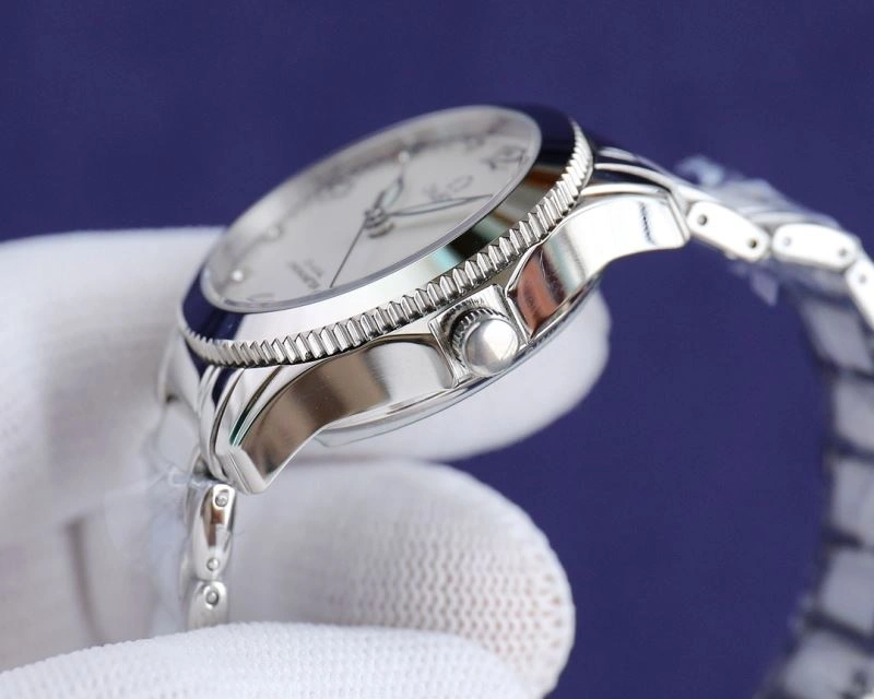 Resilient OMEGA Watches 192919