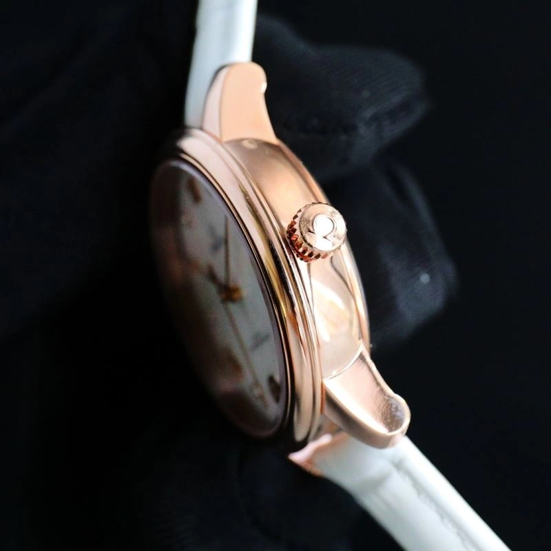 OMEGA Watches Effortless 192876