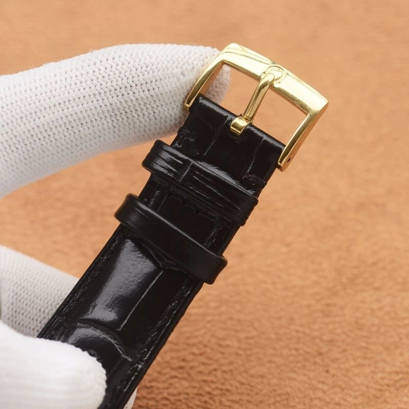 OMEGA Watches Upgraded 192871