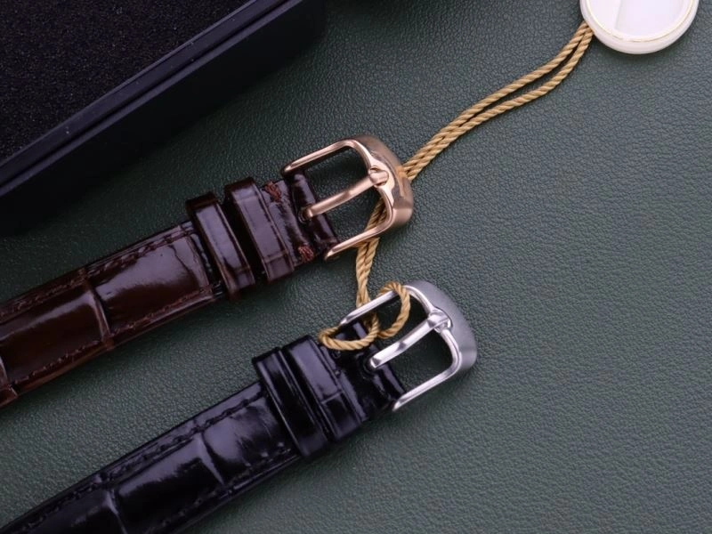 Chic OMEGA Watches 192816