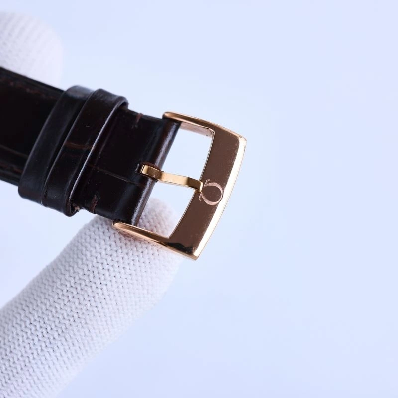 Seasonal OMEGA Watches 192738