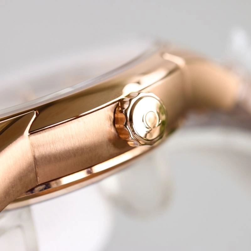 OMEGA Watches AllSeason 192709