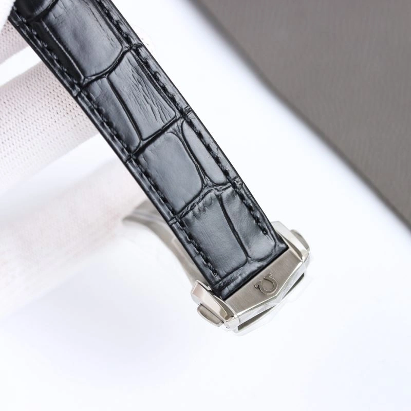 OMEGA Watches EasyCare 192726