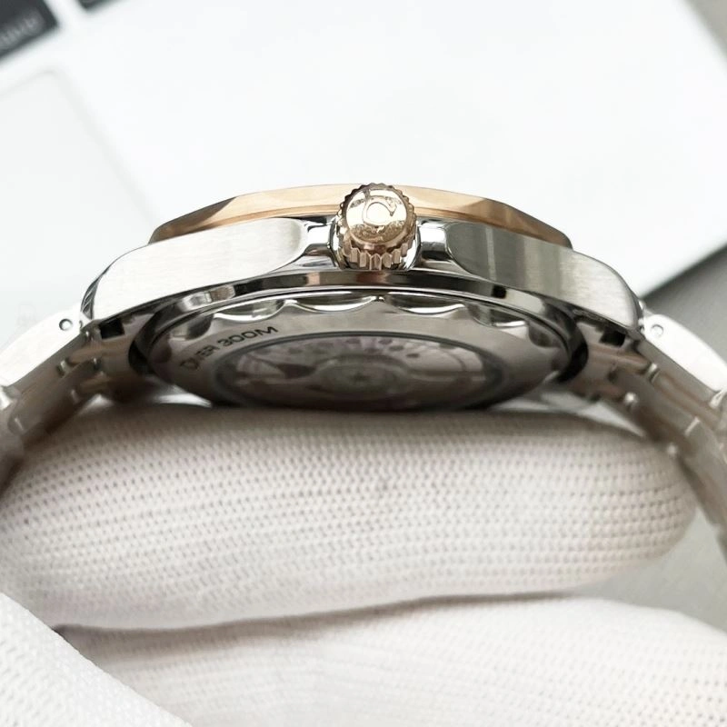 OMEGA Watches Refined 192583