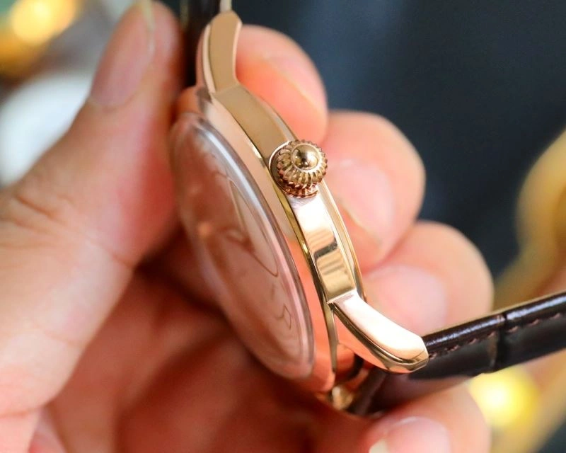 OMEGA Watches Effortless 192507