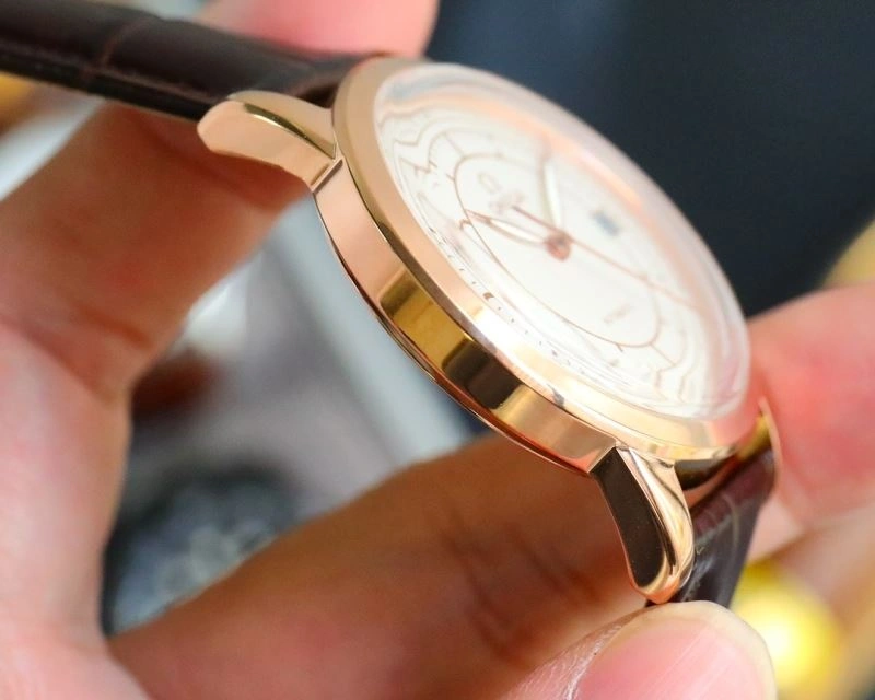 OMEGA Watches Effortless 192507