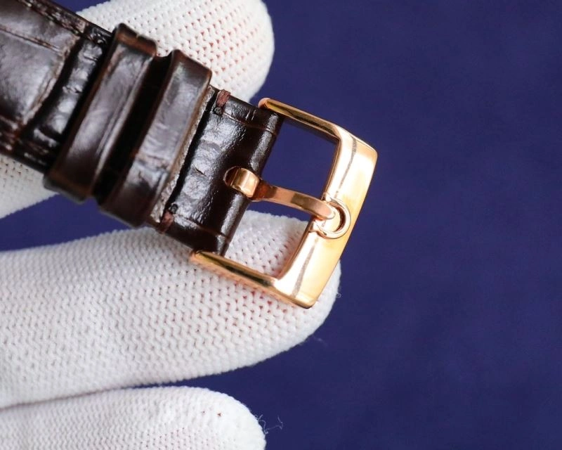 GoAnywhere OMEGA Watches 192499