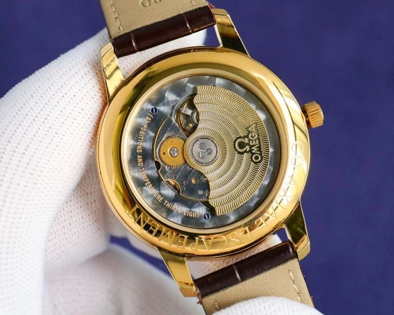 OMEGA Watches Upgraded 192454