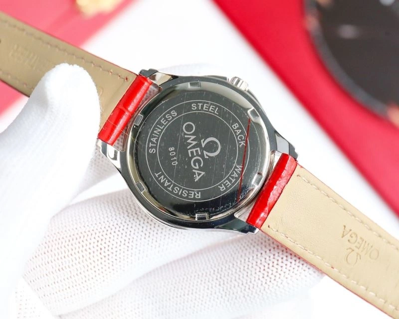 StreetReady OMEGA Watches 192450