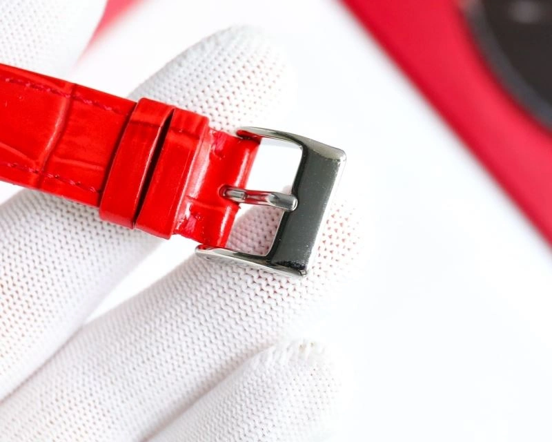 StreetReady OMEGA Watches 192450