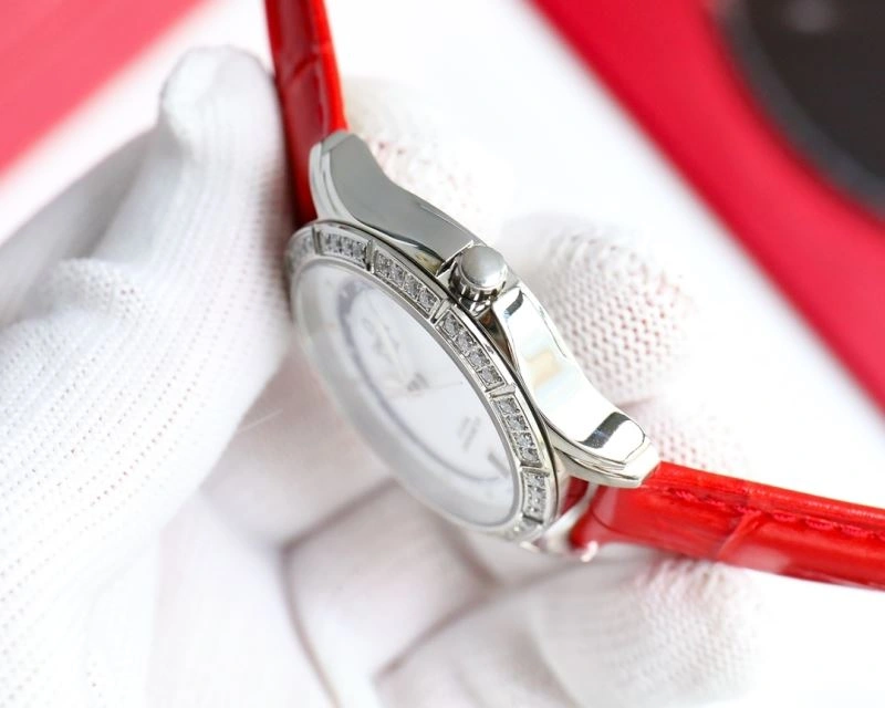 StreetReady OMEGA Watches 192450