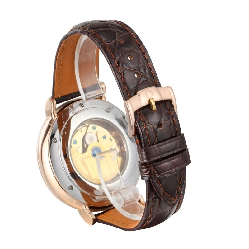 OMEGA Watches Effortless 192438